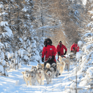 Expédition traîneau à chiens Québec