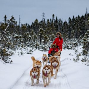Traîneau à chiens Québec